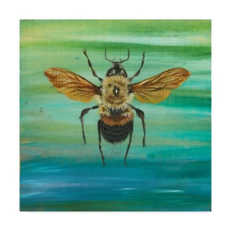 Gigi Begin 'Bumble Bee Flying' Canvas Art,18x18